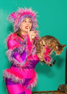 тихо у нас шоу с кошками