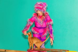 дрессура с котом