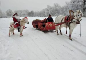 Прокат лошади с каретой алматы