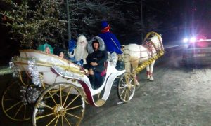 заказ деда мороза на карете алматы