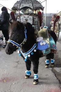 пони заказать алматы