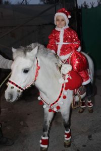 прокат пони