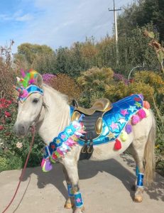 Пони единорог в алматы в аренду