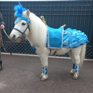 прокат лошадок пони алматы выезд