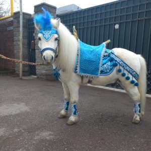 аренда пони алматы