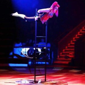 шоу для ночных клубов