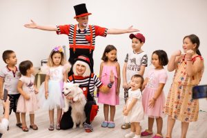 шоу дрессированных собак с клоуном