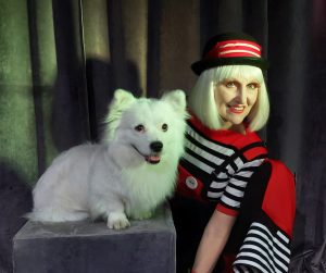 шоу дрессированных собак с клоунессой